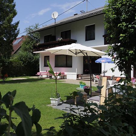 Apartment Villa Louise Sankt Kanzian am Klopeiner See المظهر الخارجي الصورة